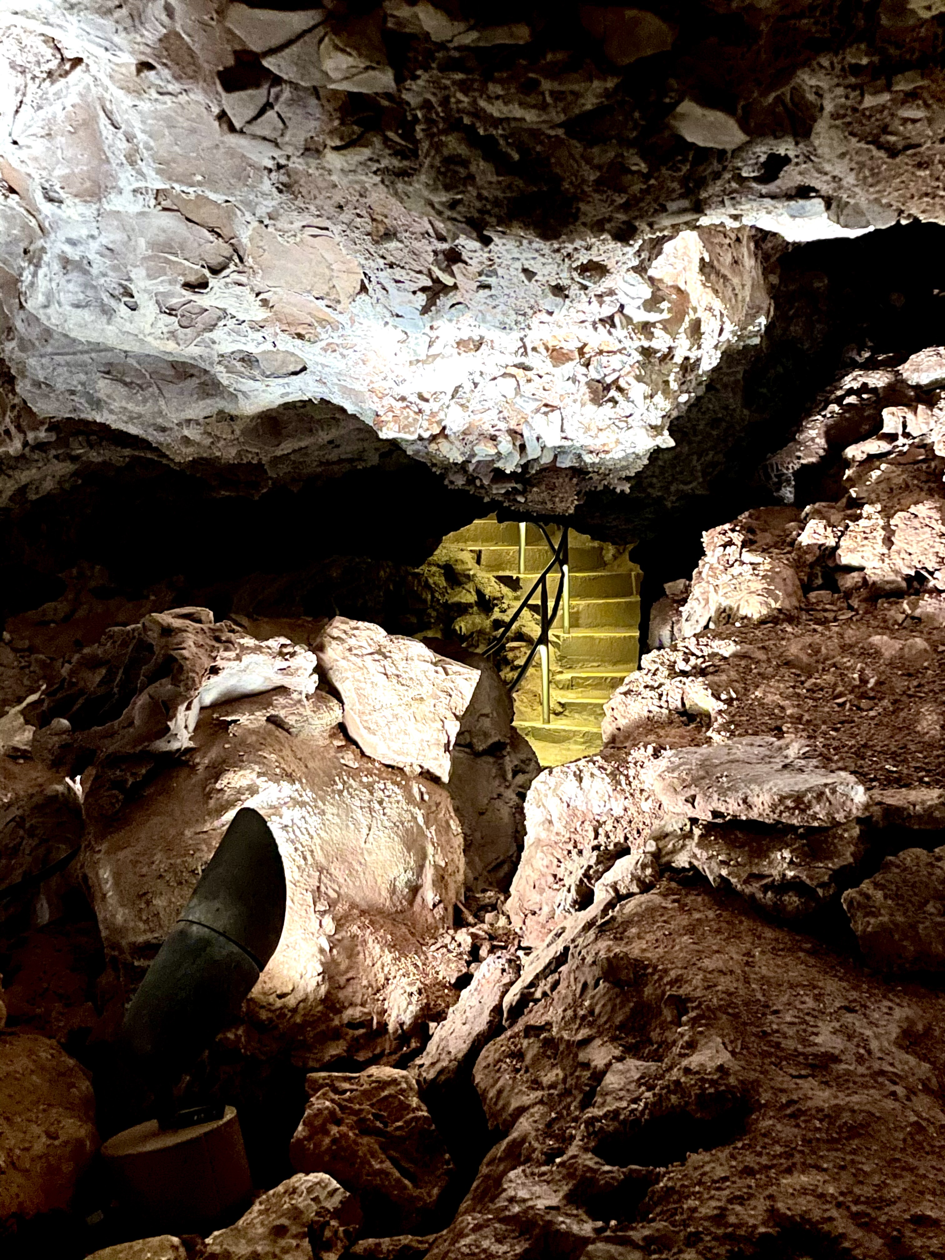 Wind Cave National Park: A Hidden Gem In South Dakota