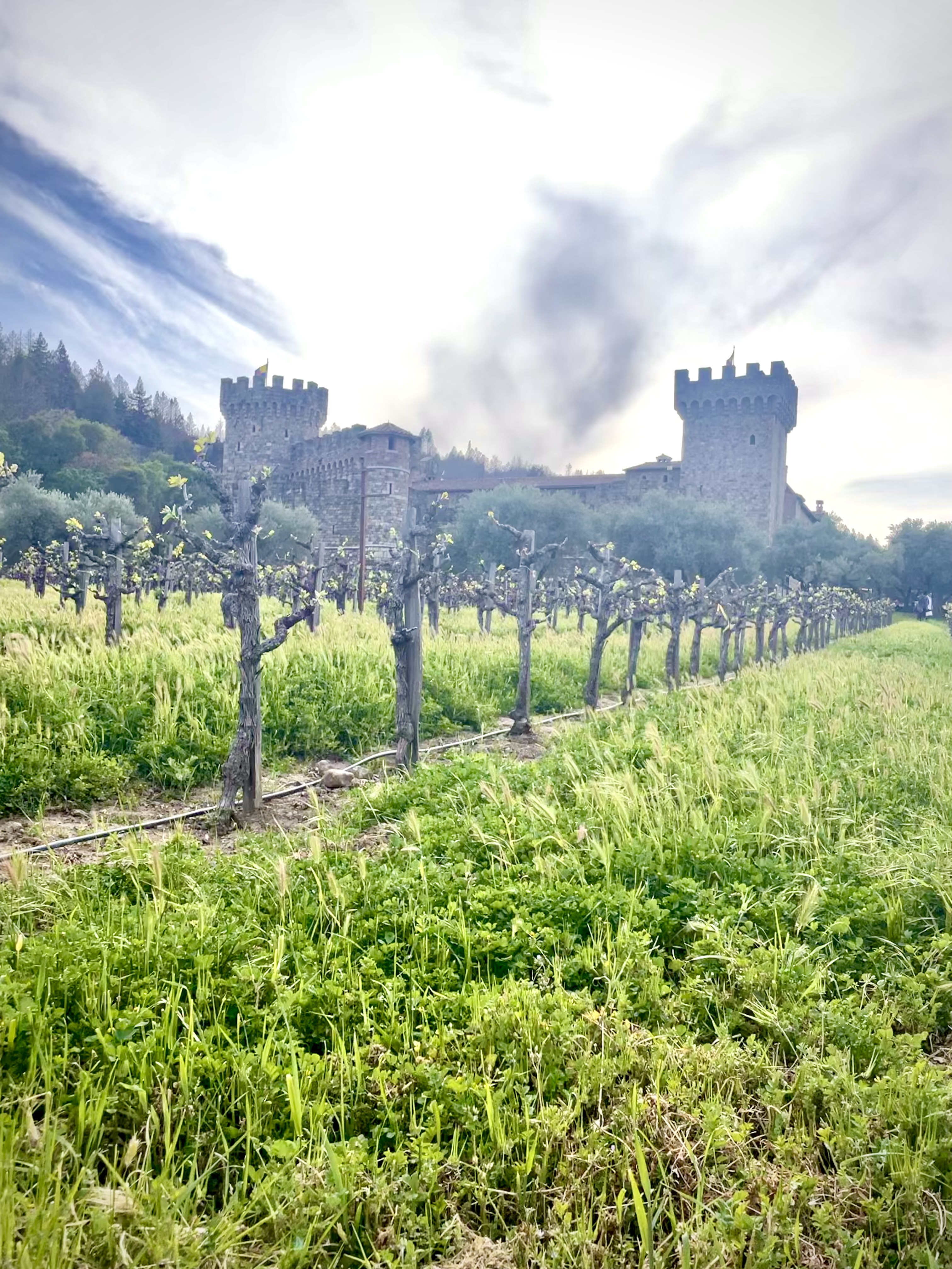 Castello di Amorosa: A Castle Winery in Napa Valley