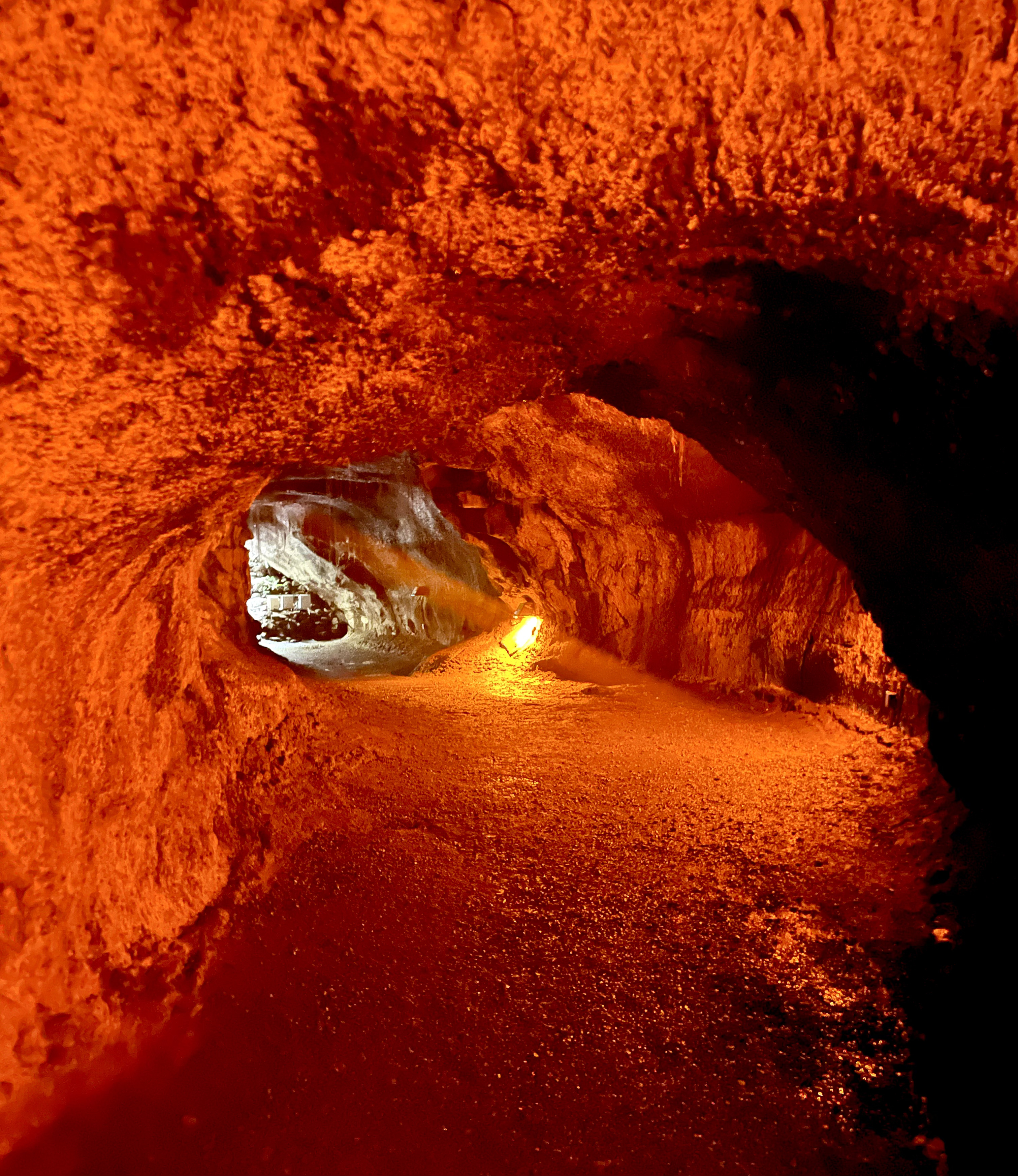 Thurston Lava Tube: Hiking in Hawai’i Volcanoes National Park