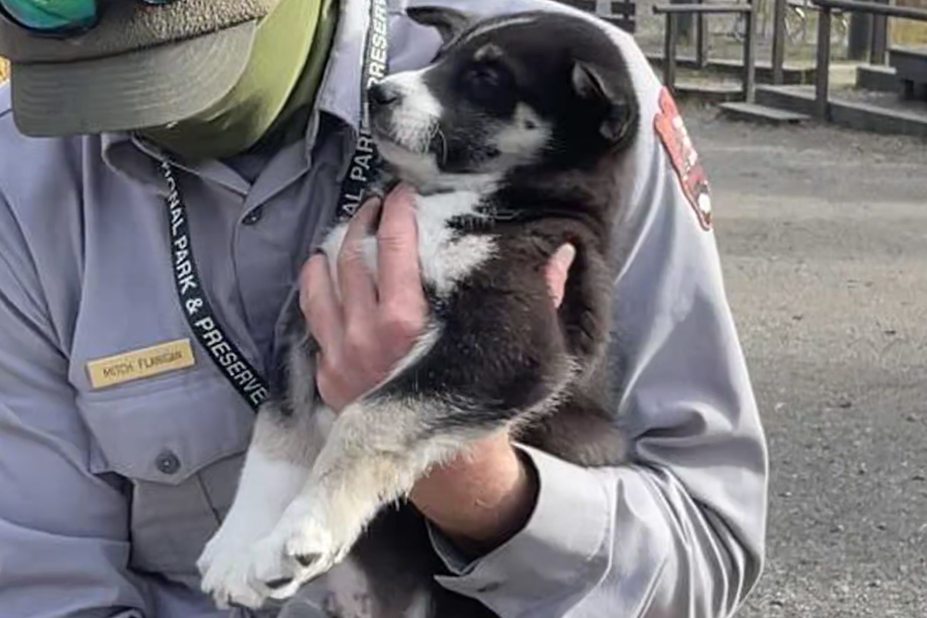 Explore Denali’s Sled Dog Kennels for the Ultimate Adventure