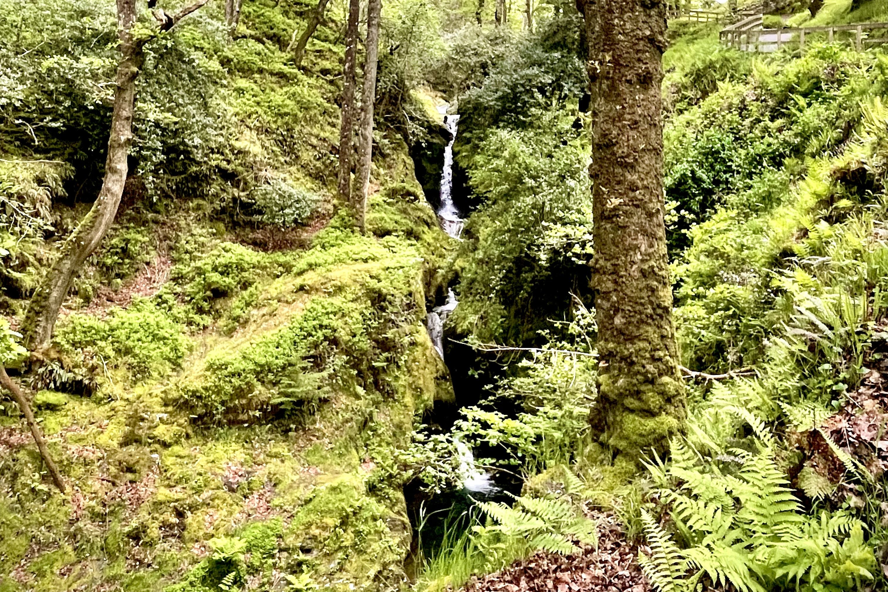 A Hike To Poulanass Waterfall in Ireland’s Wicklow Mountains National Park