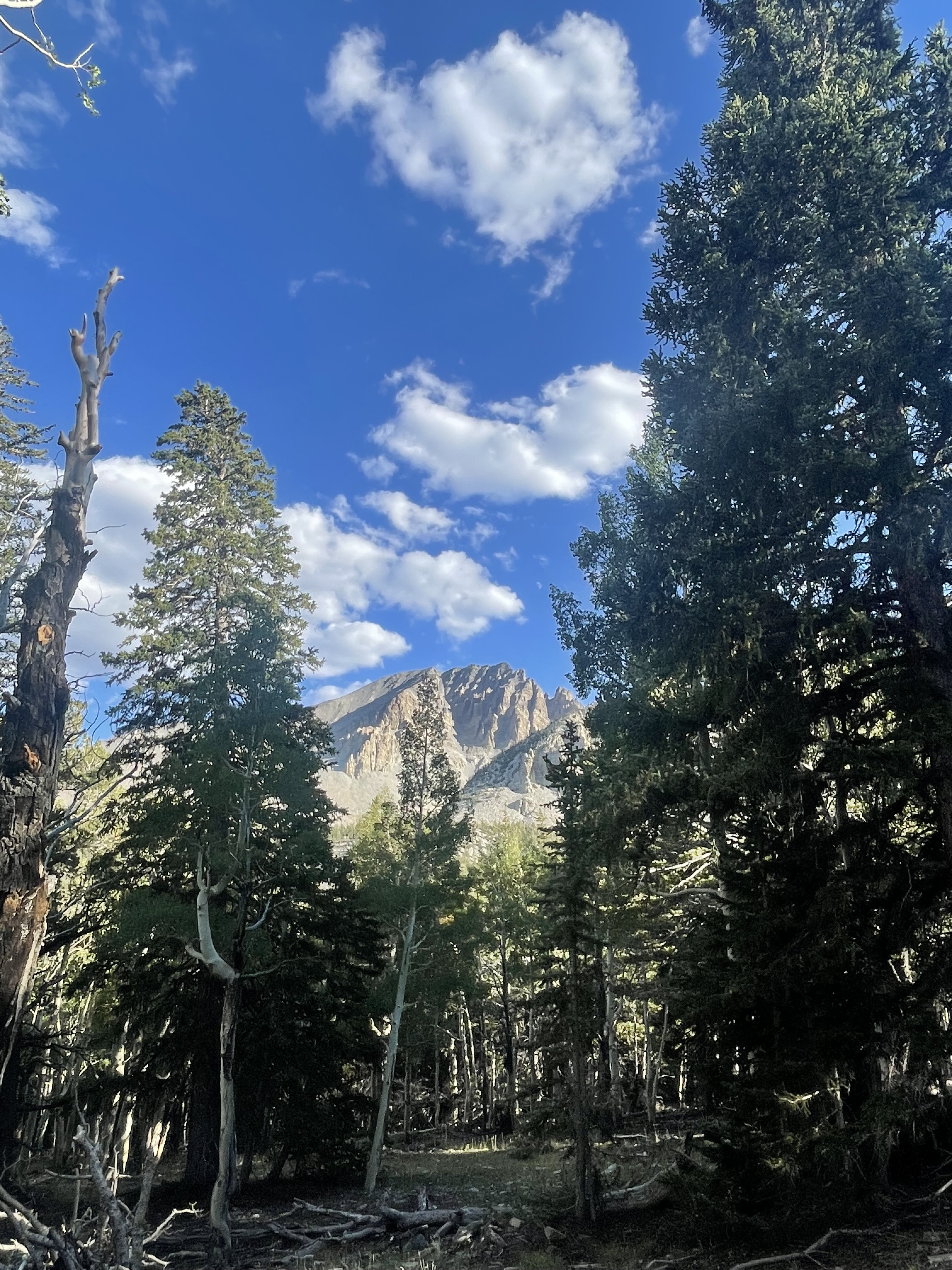 Hiking to Stella Lake: An Alpine Lake in Great Basin National Park