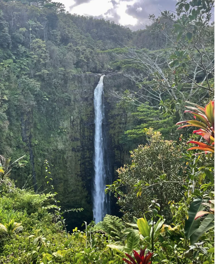Hawaii’s Most Scenic Waterfall Hike Is On The Big Island