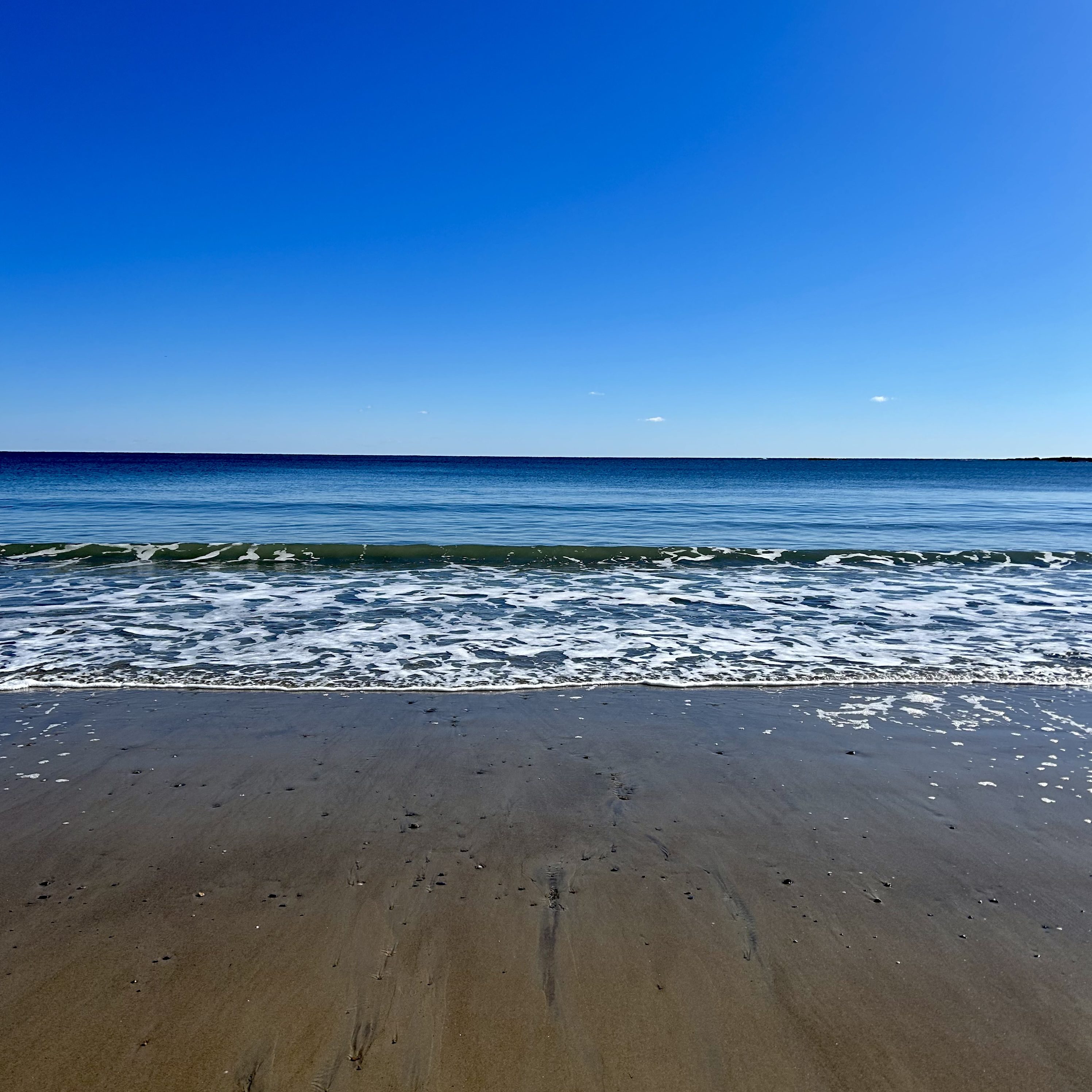 A Trip To The Coastal Scarborough State Park in Maine