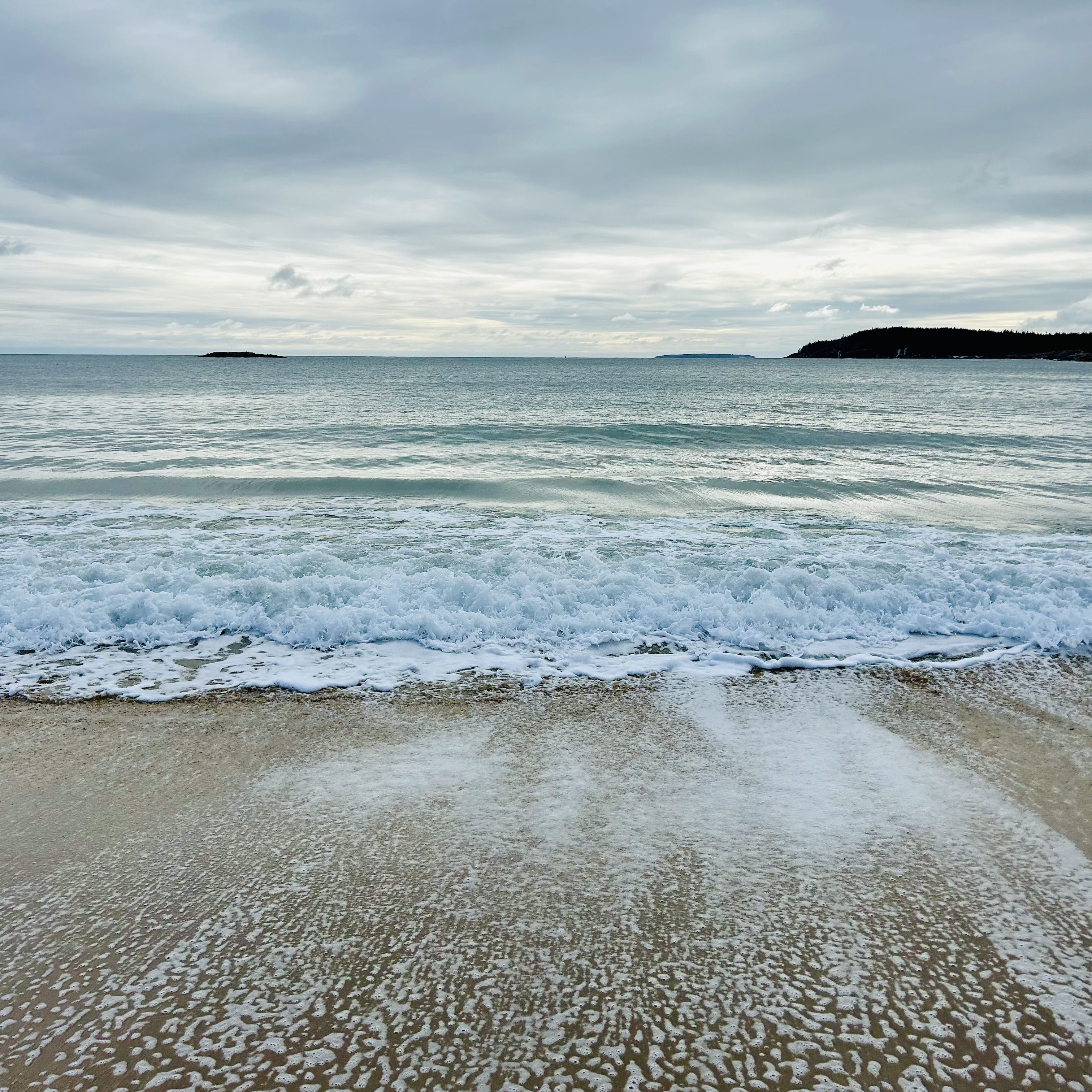 Sand Beach in Acadia: Everything You Need To Know