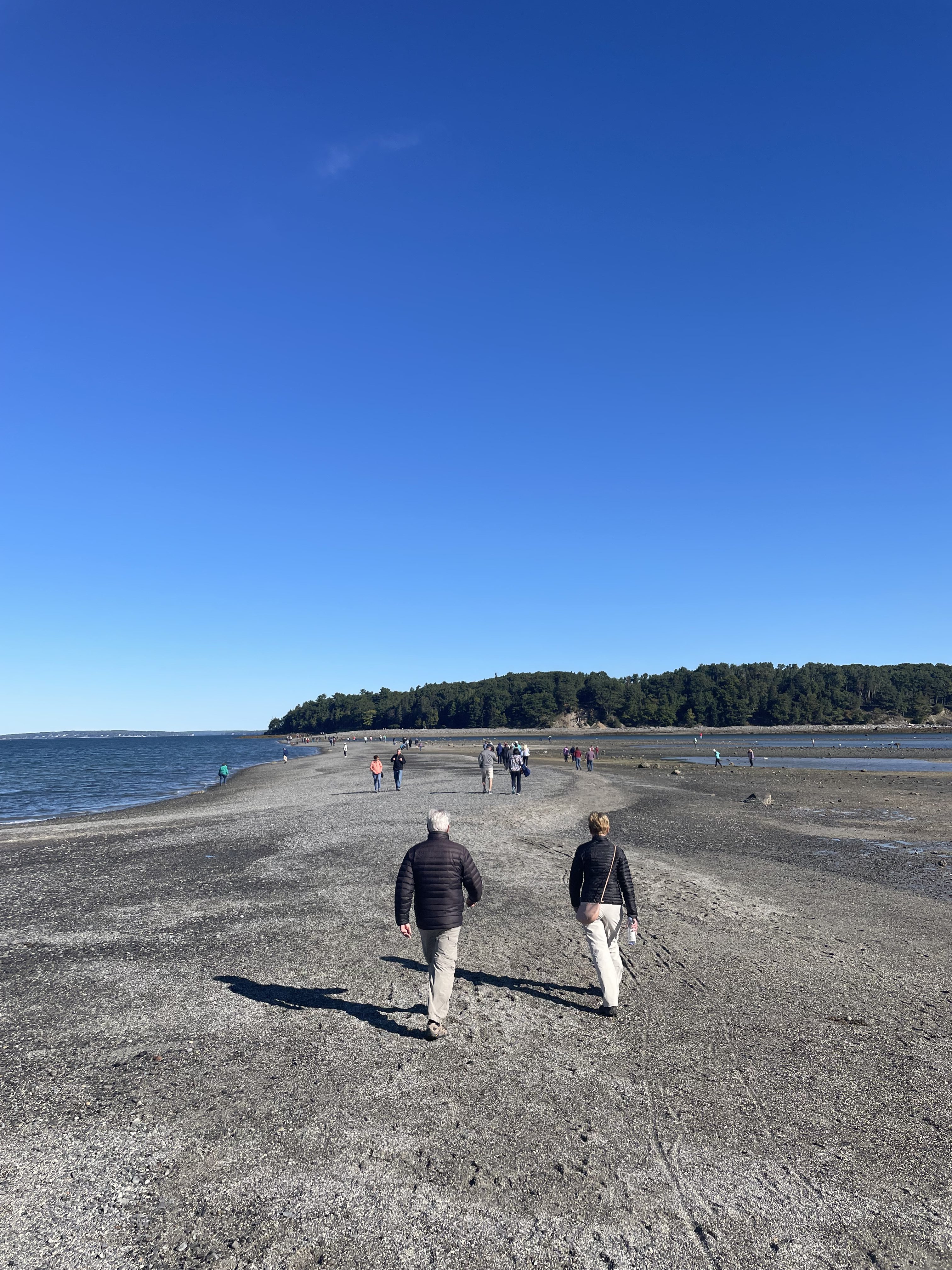 Hike the Bar Island Trail at Low Tide in Acadia National Park