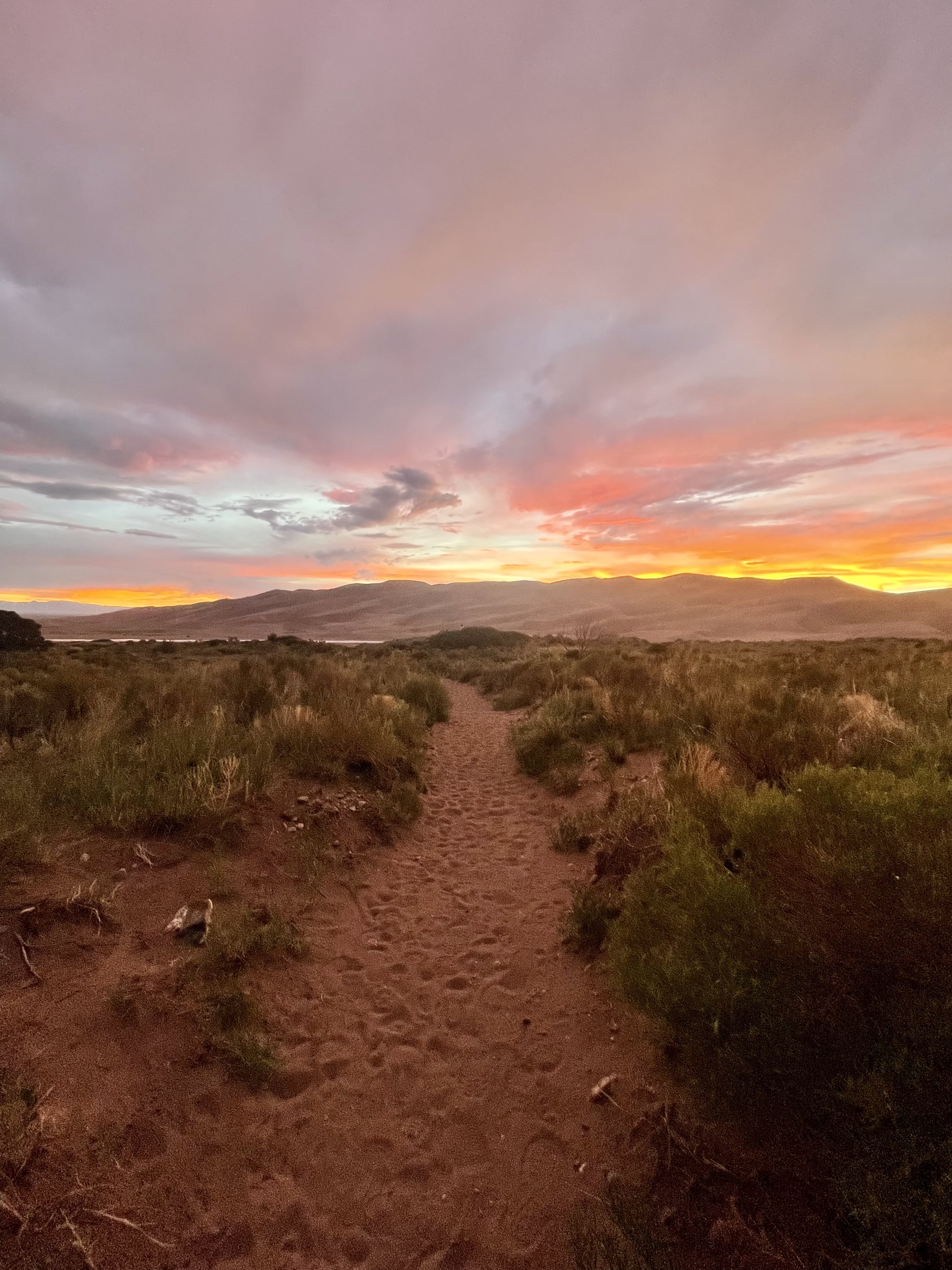Piñon Flats Campground Guide: Great Sand Dunes National Park
