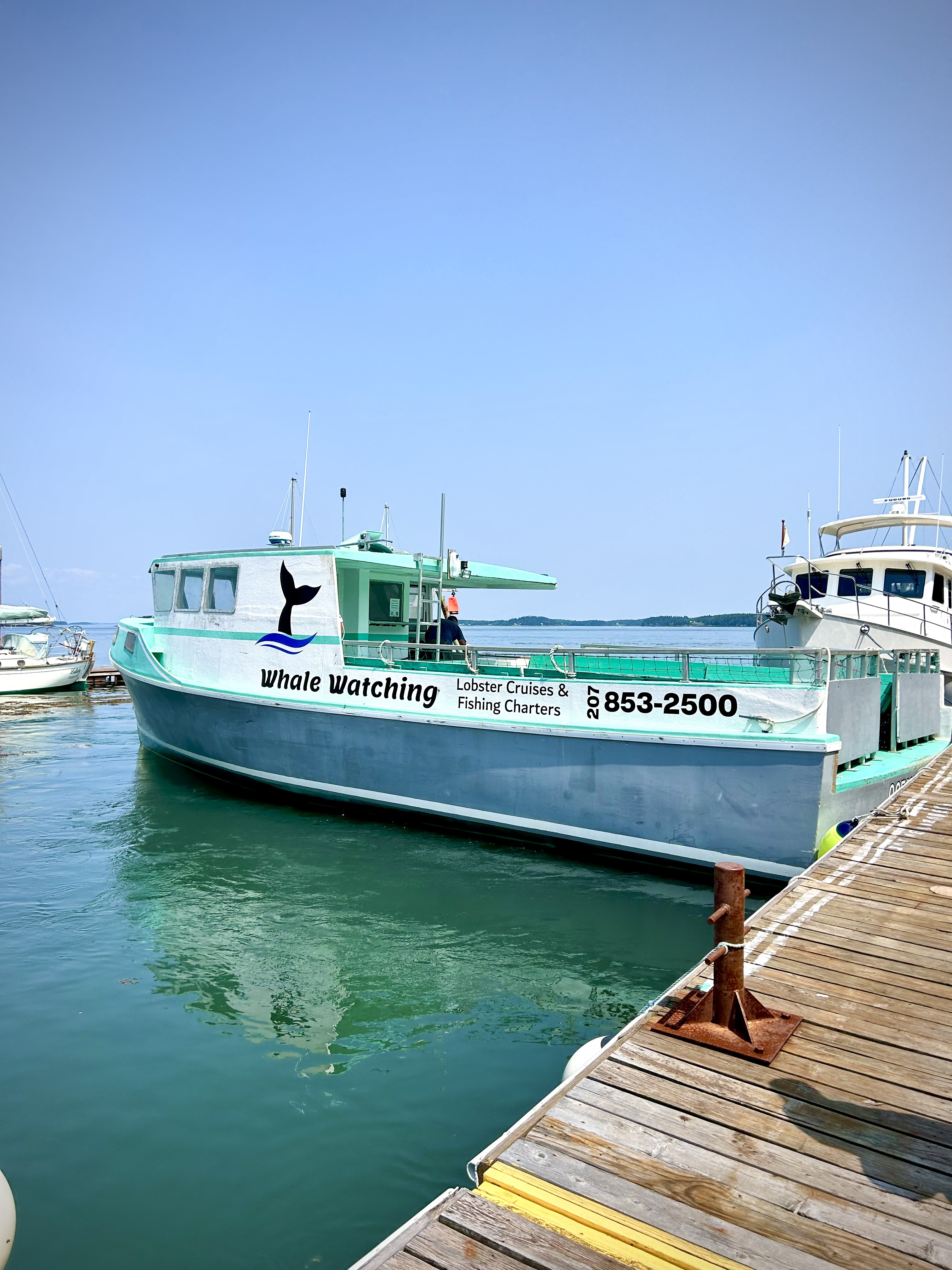 Visiting the Old Sow Whirlpool: Everything You Need to Know