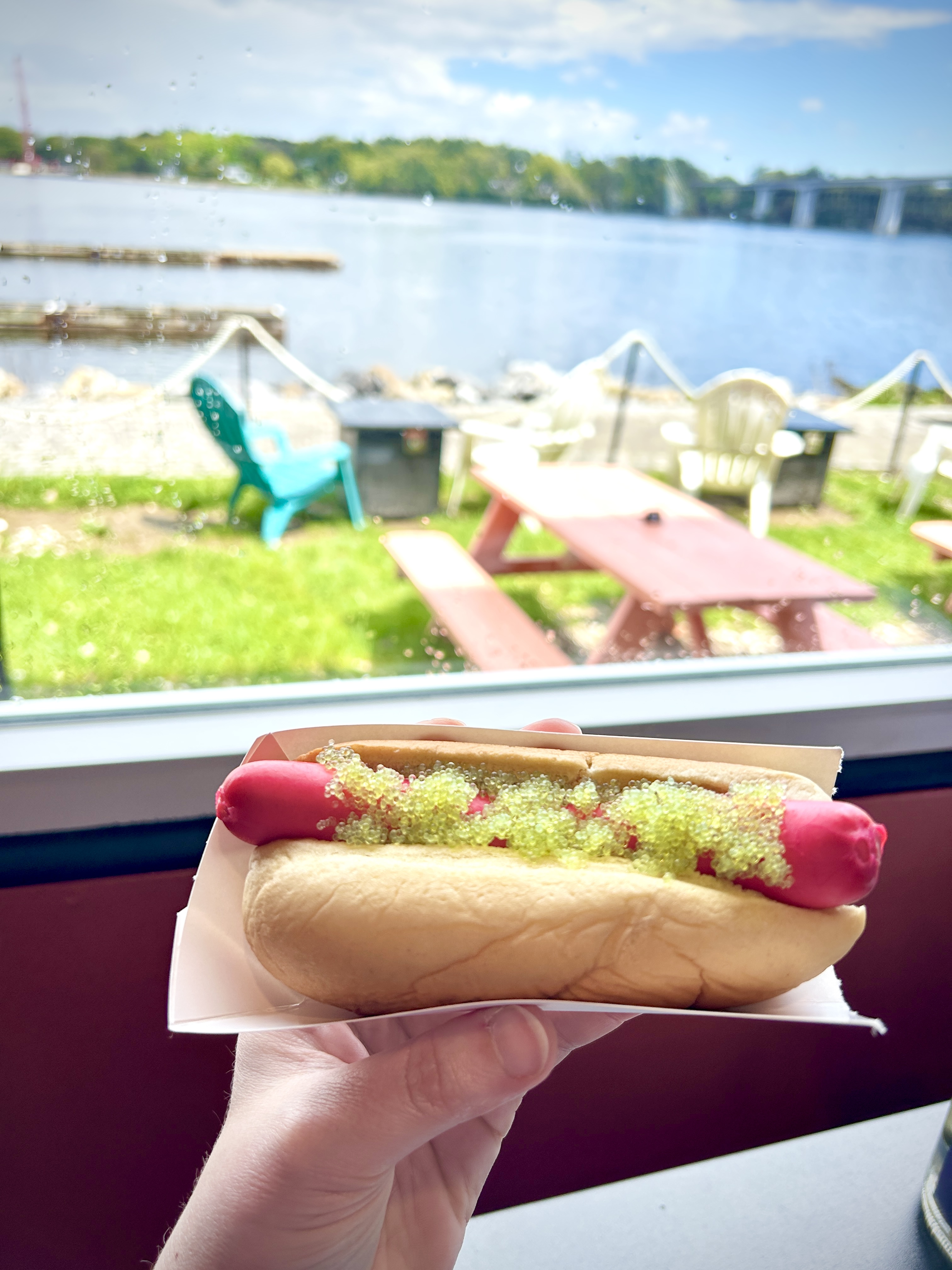 Top Hot Dog Spots in Maine You Need to Try in 2026