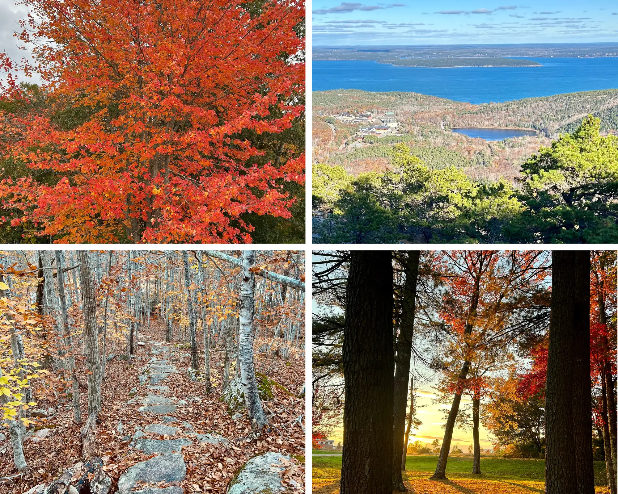 Ultimate Guide to Maine’s Fall Foliage: When and Where to Go