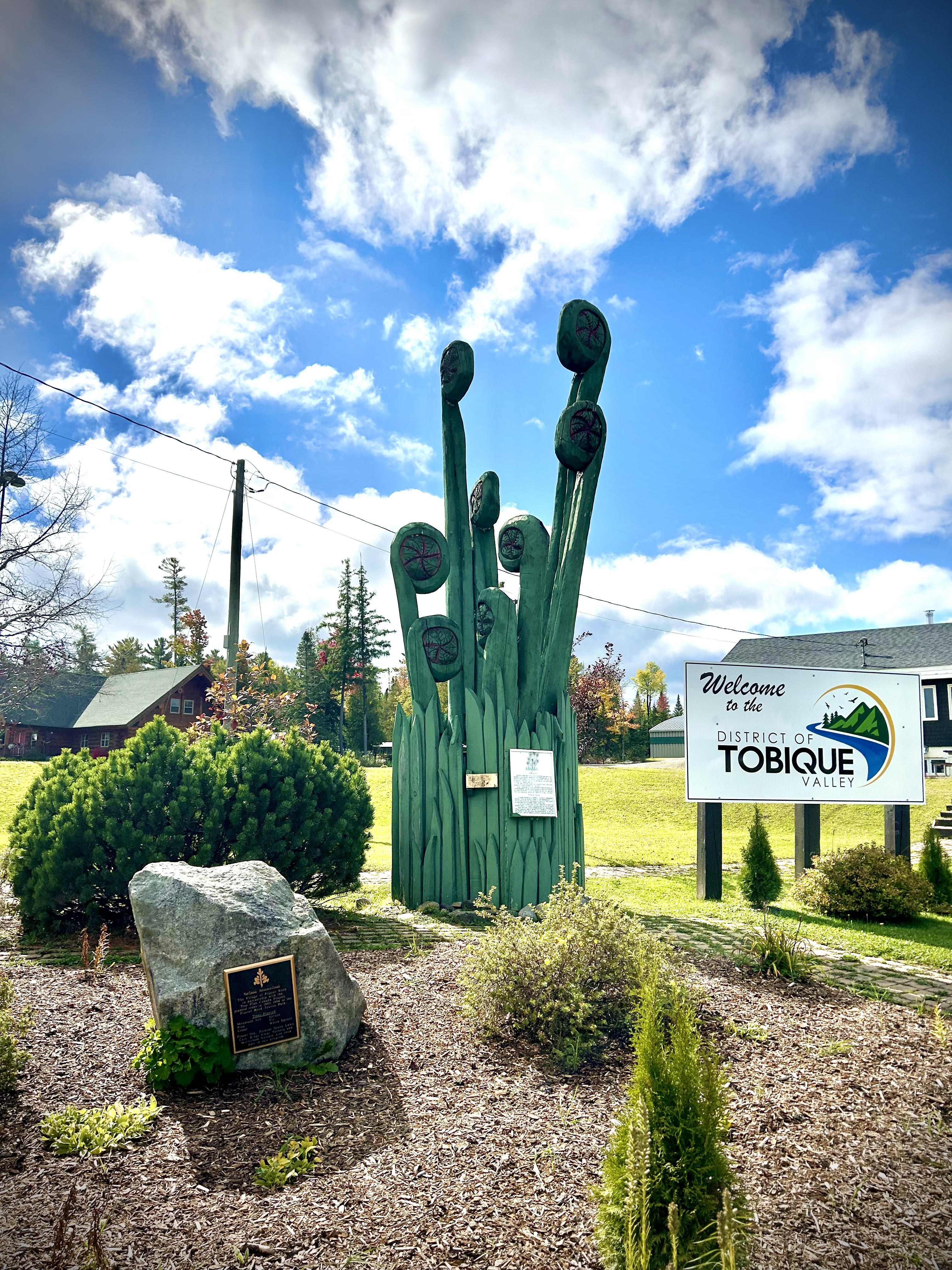 A Visit To The World’s Largest Fiddleheads in Canada