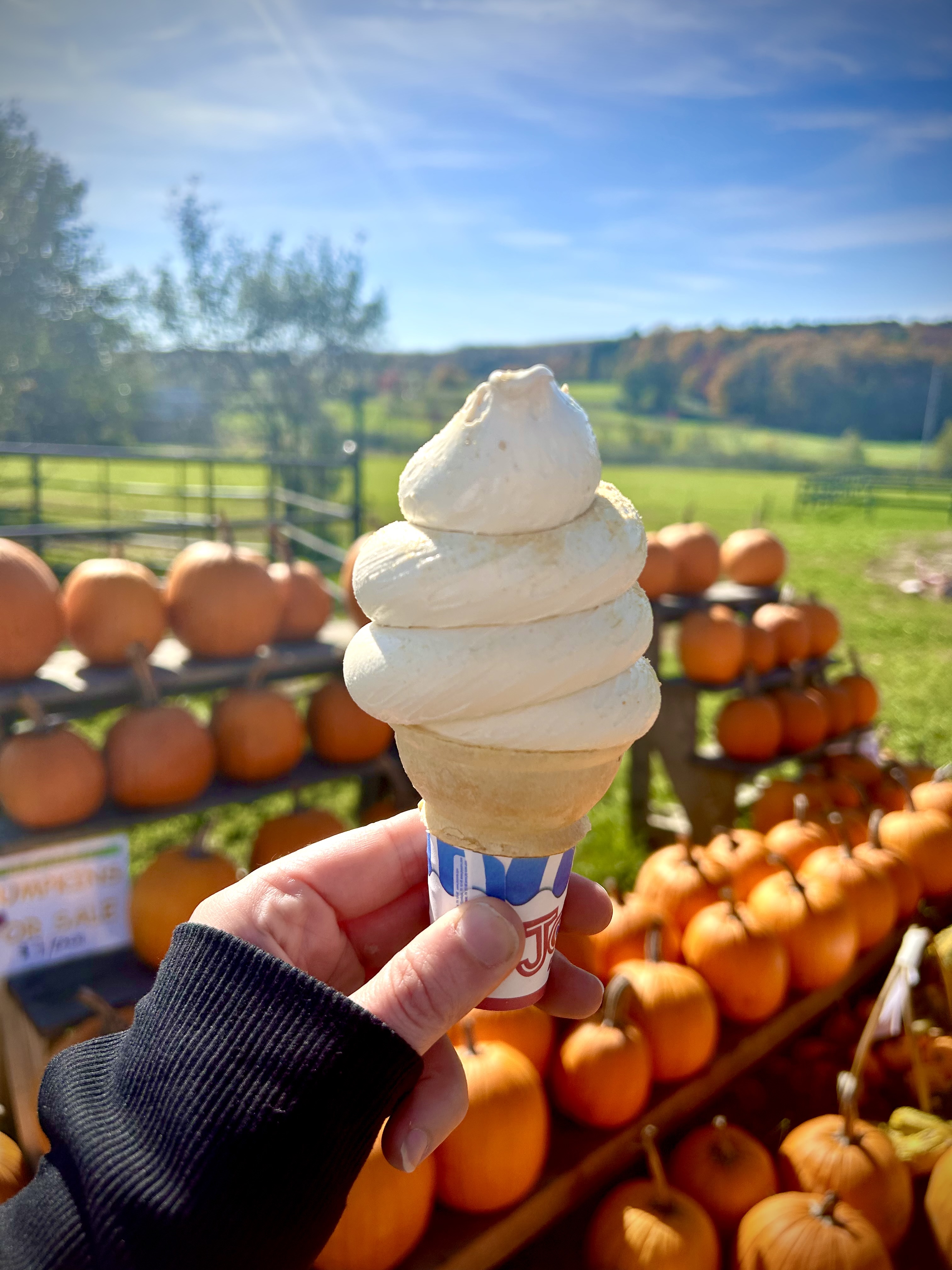 Maple Creemees in Vermont: 3 Must-Try Spots This Fall (2025)