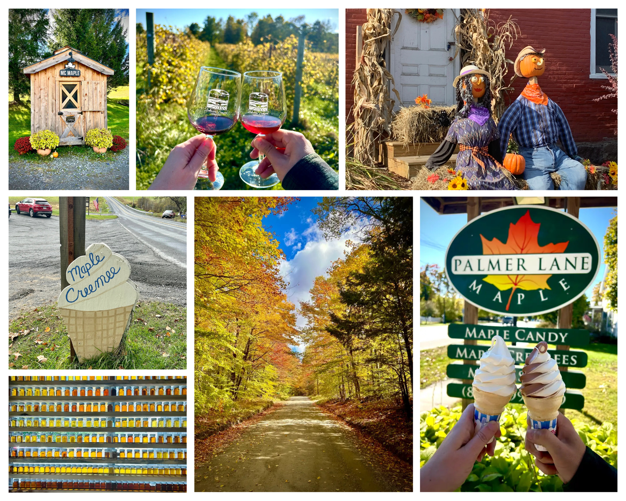 11 Best Fall Activities in Vermont You Can’t Miss (2025 Guide)