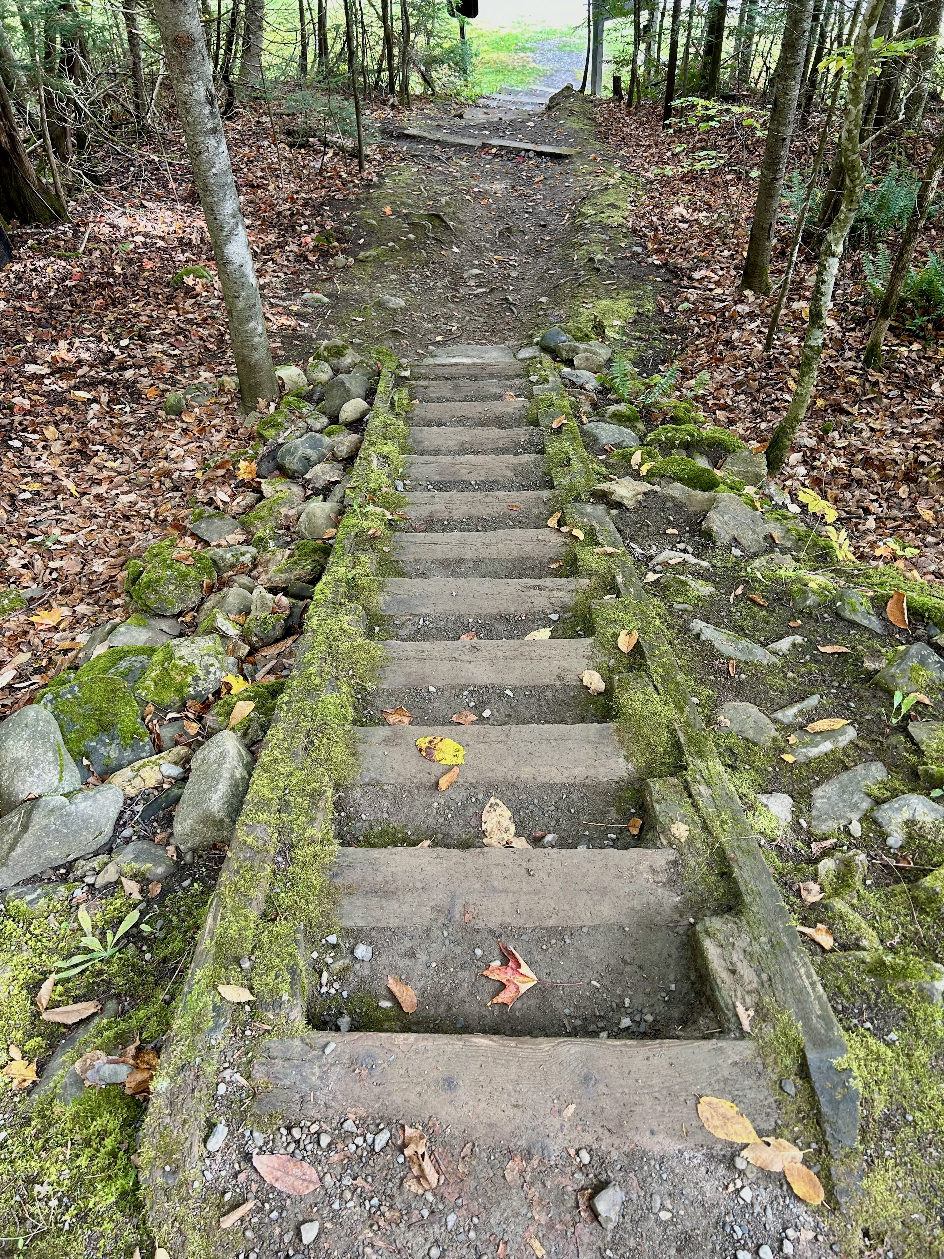 The Best Hike In Aroostook State Park