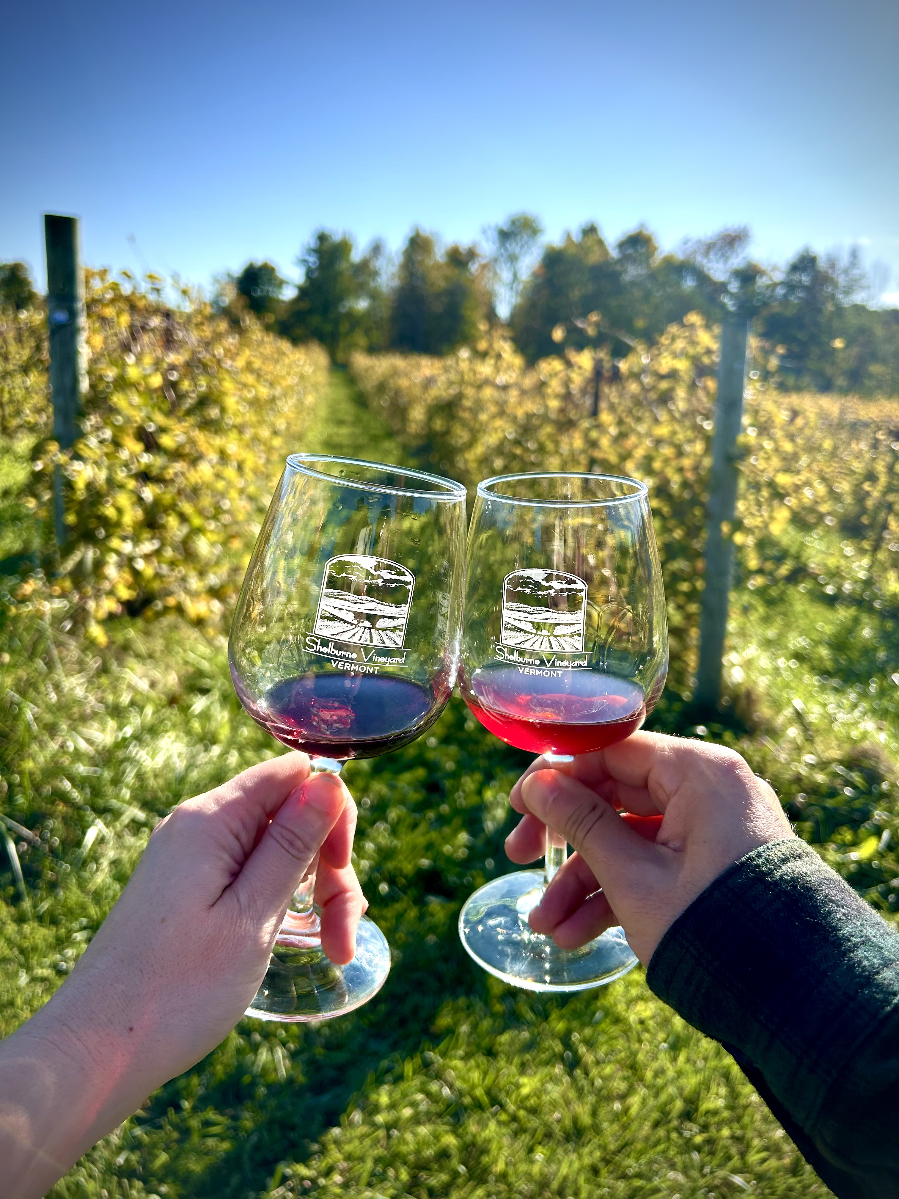 A Fall Visit to Shelburne Vineyard: The Best Winery in Vermont