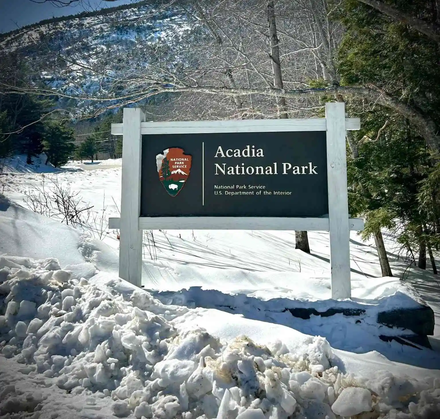 18 Things to Do in Bar Harbor & Acadia This Winter