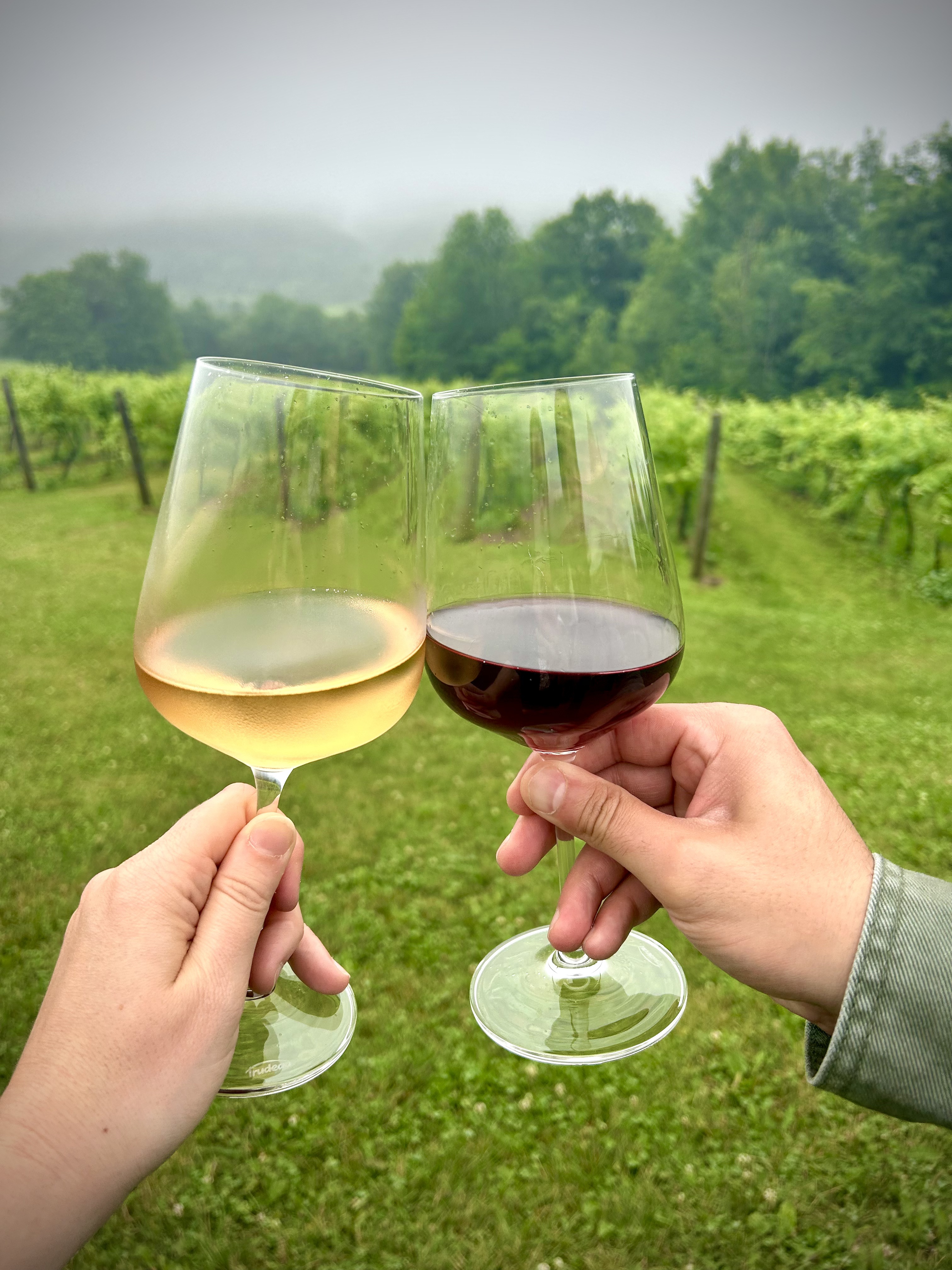 Benjamin Bridge: Nova Scotia’s Best Sparkling Winery