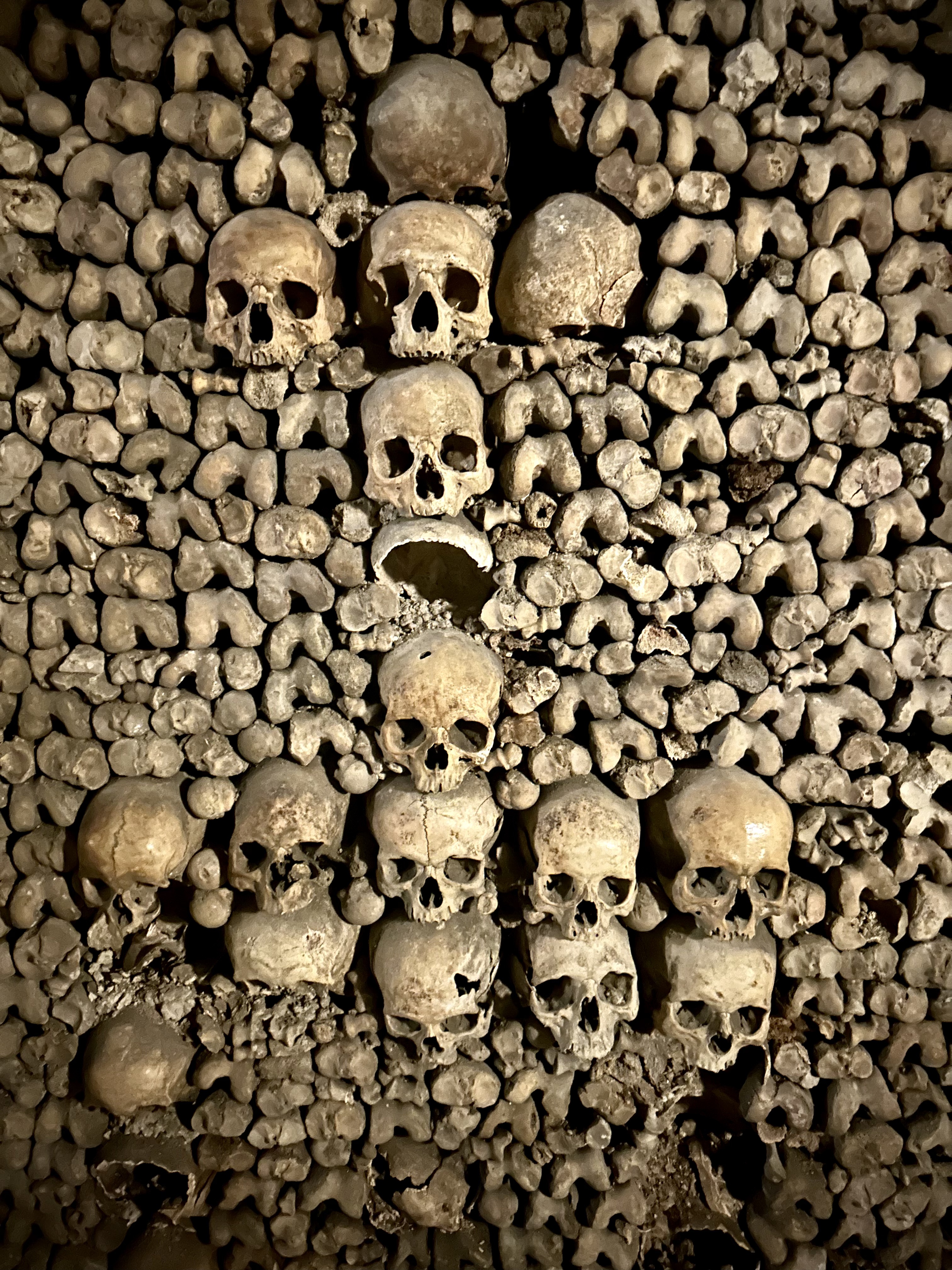 Catacombs of Paris: The Dark Side of the City of Light