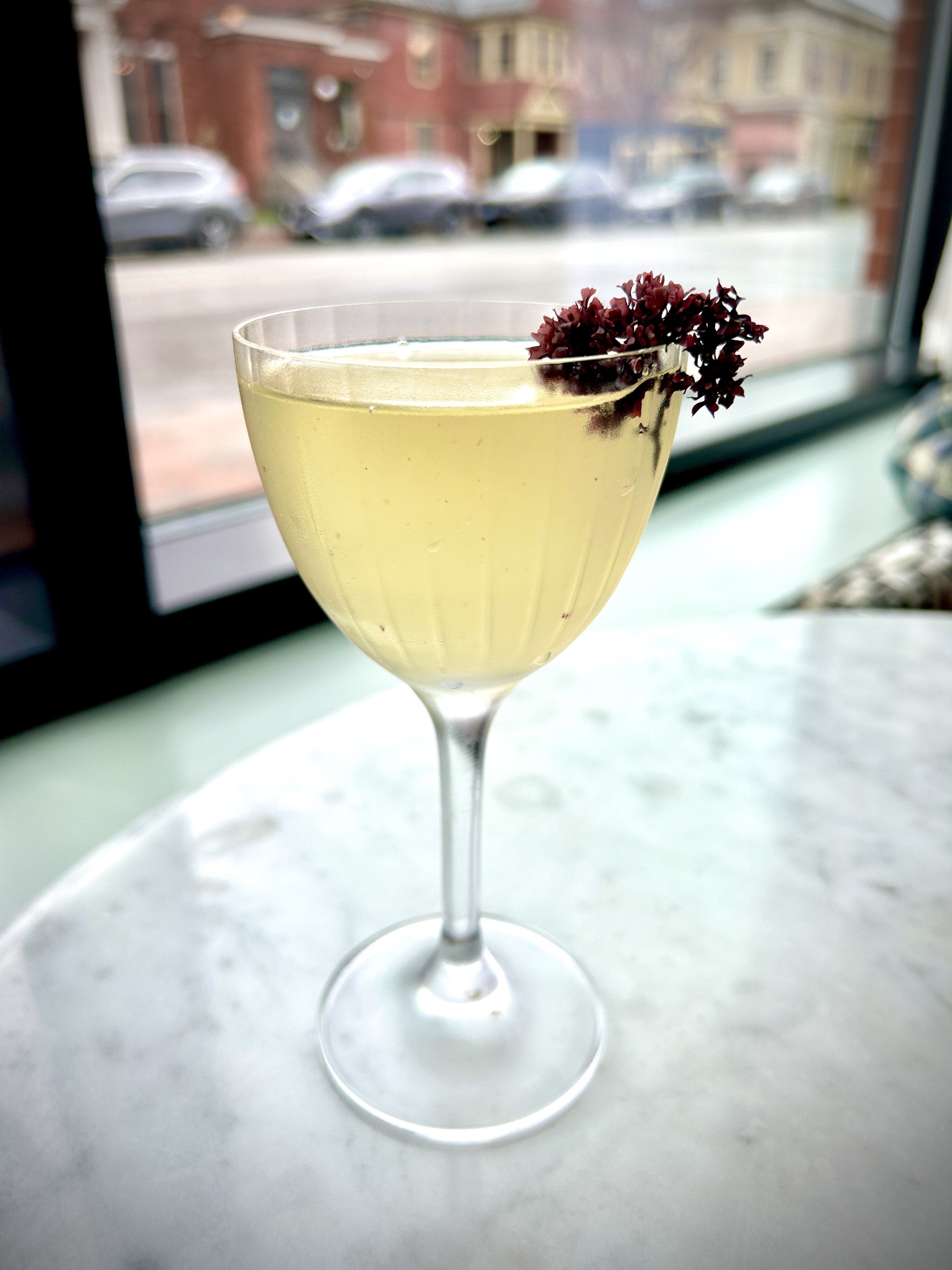 Everything I Ate & Drank at Maine Seaweed Week