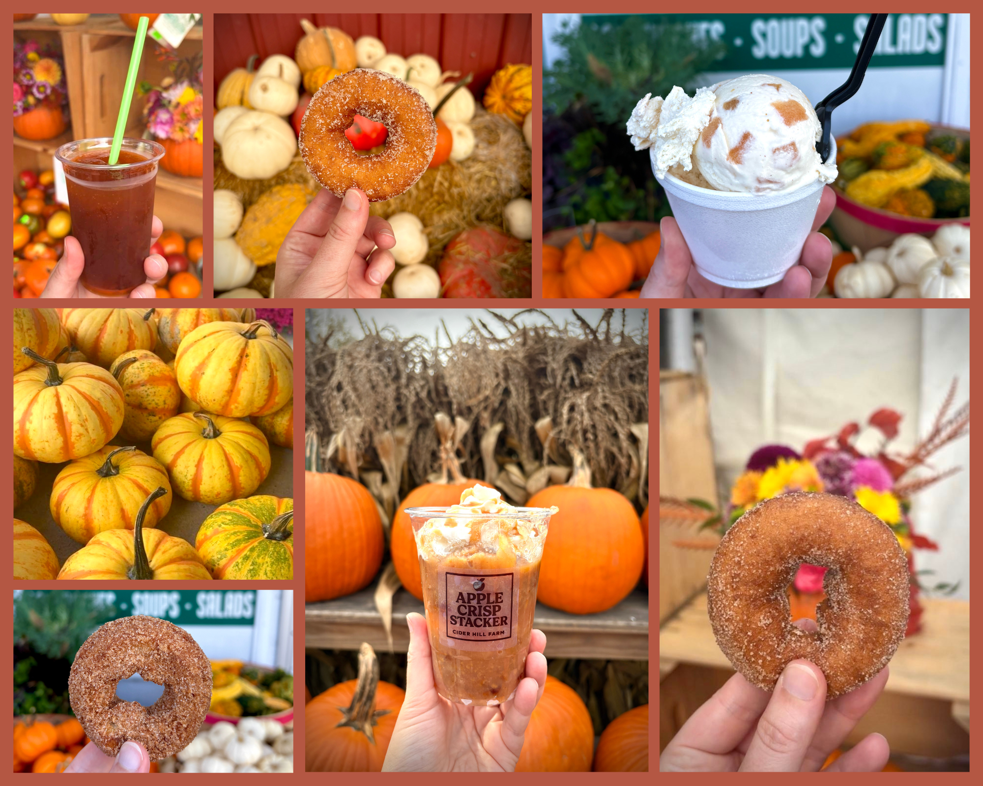 Where to Find the Best Apple Cider Donuts Near Boston