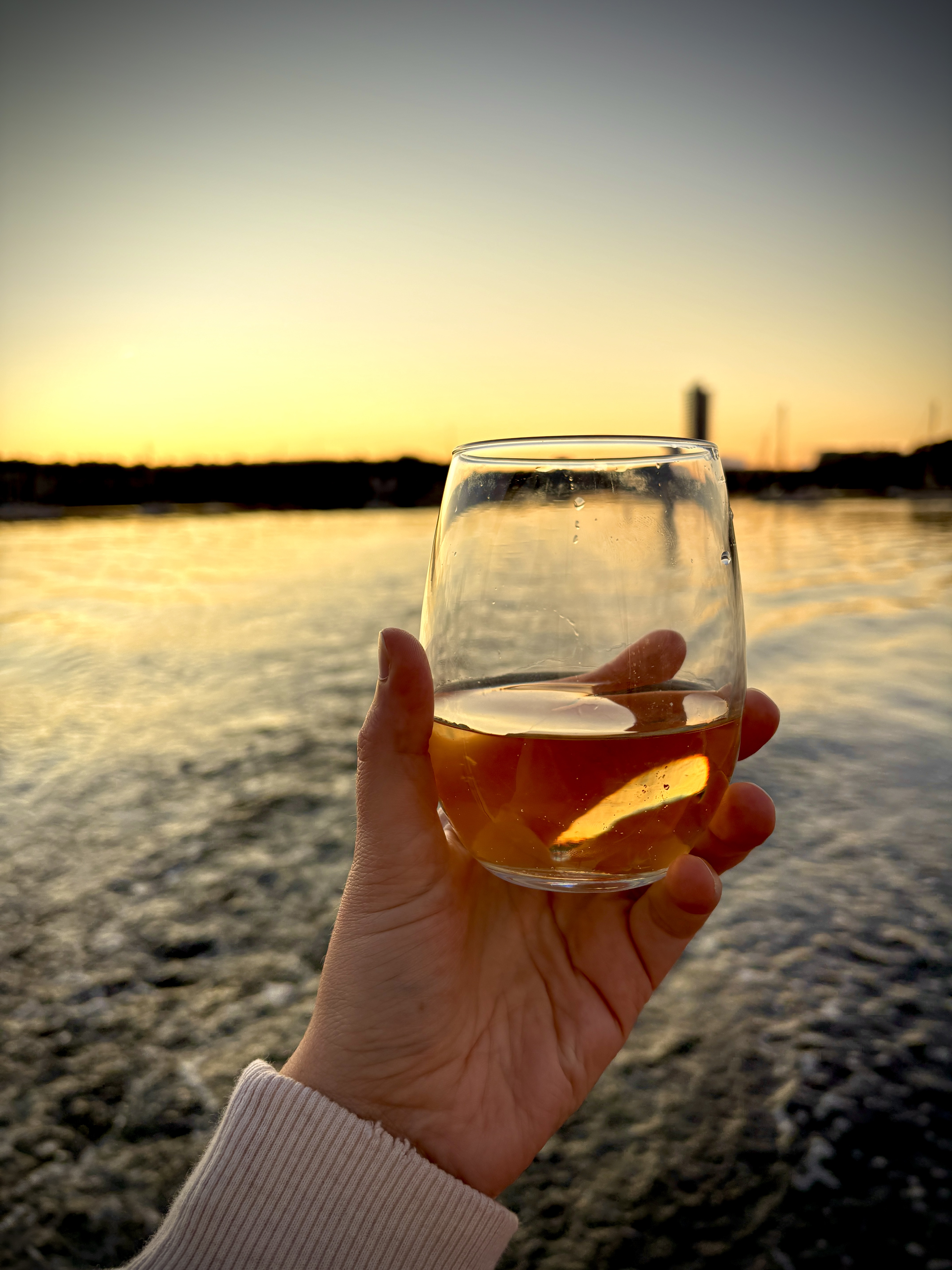 Halifax Wine & Cheese Sunset Sail with J Farwell