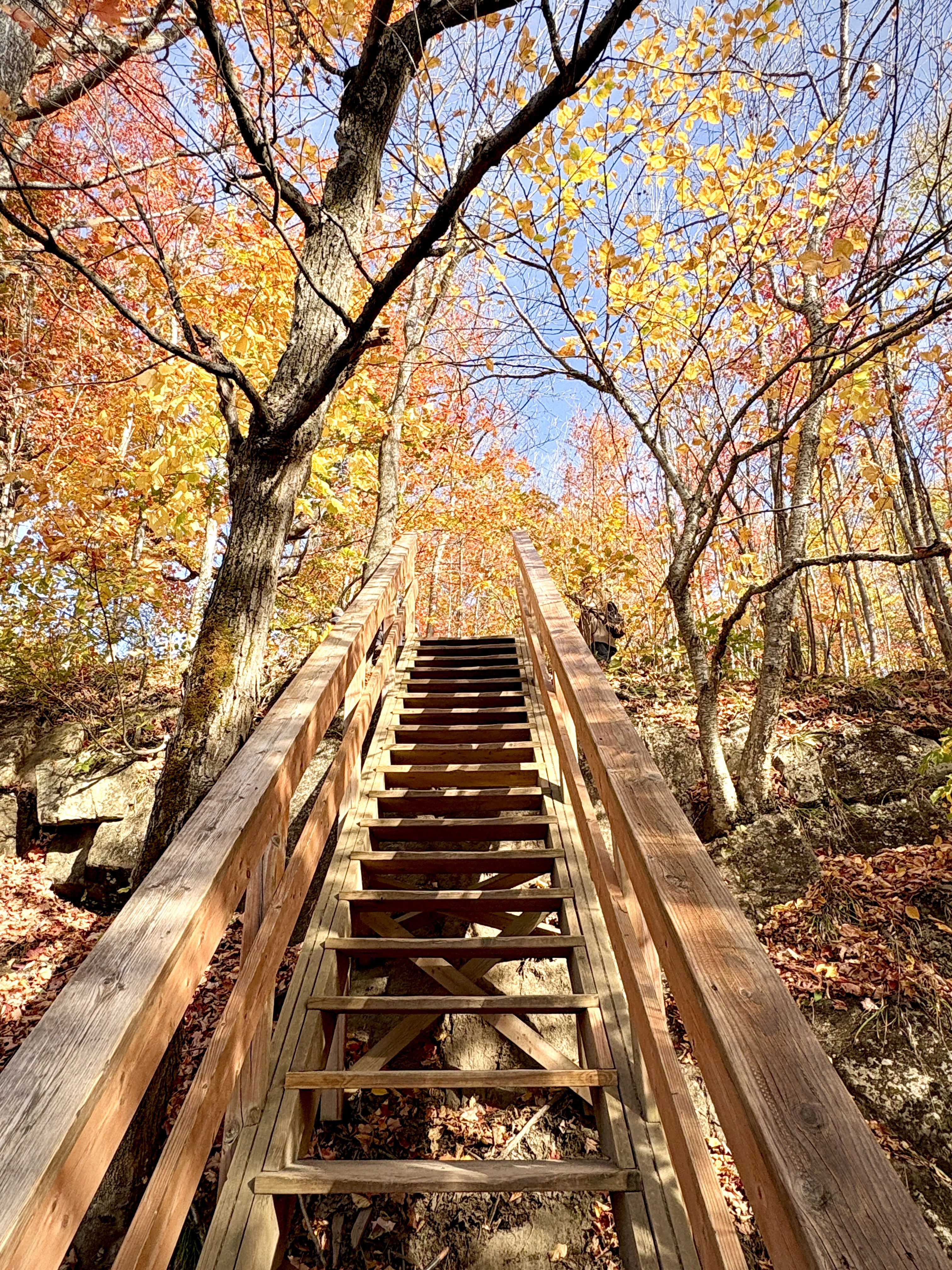 A Fall Hike on the Les Ruisseaux Trail in Mont-Tremblant