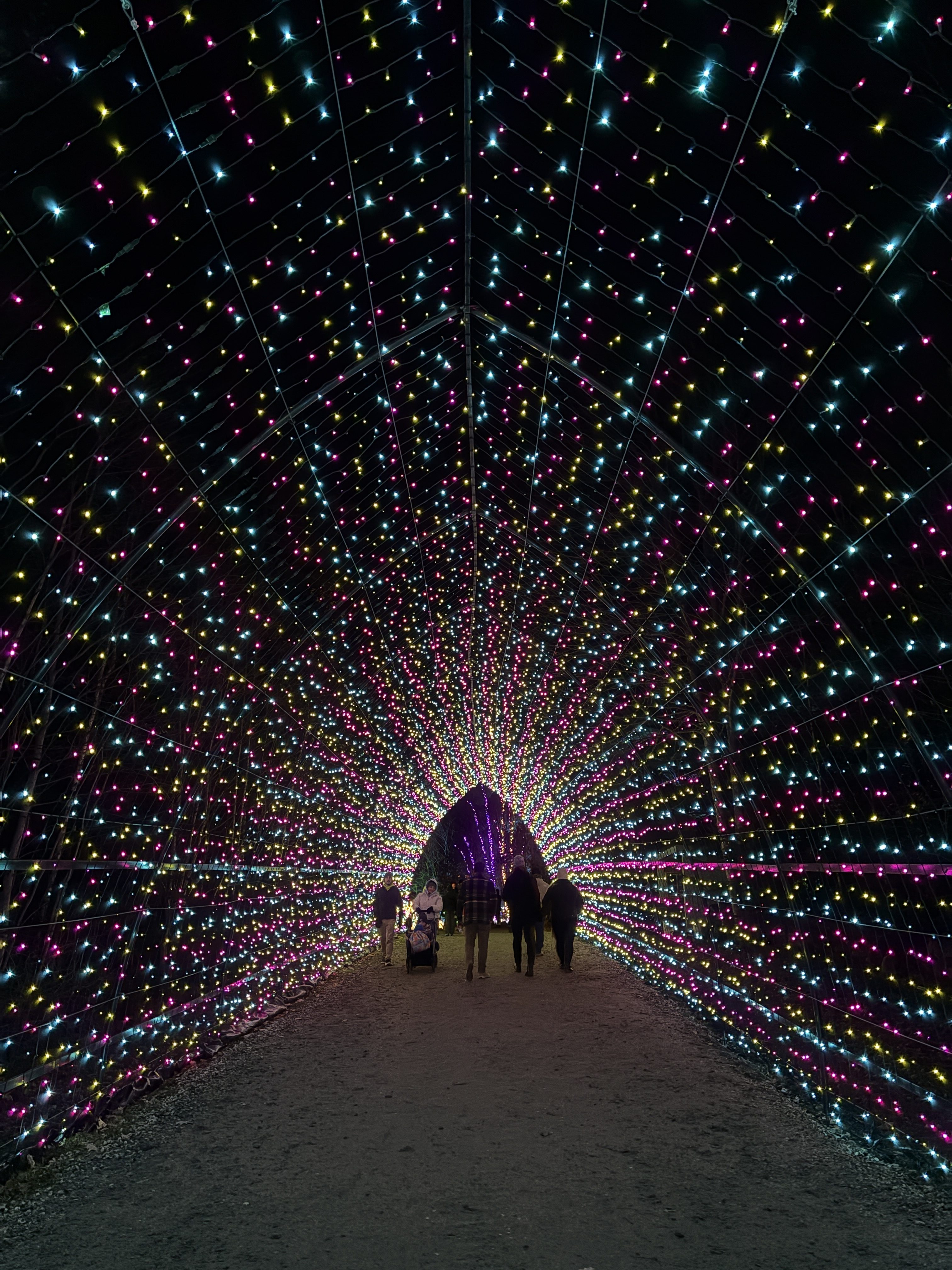 Why Gardens Aglow Is a Must-See in Maine This Holiday Season