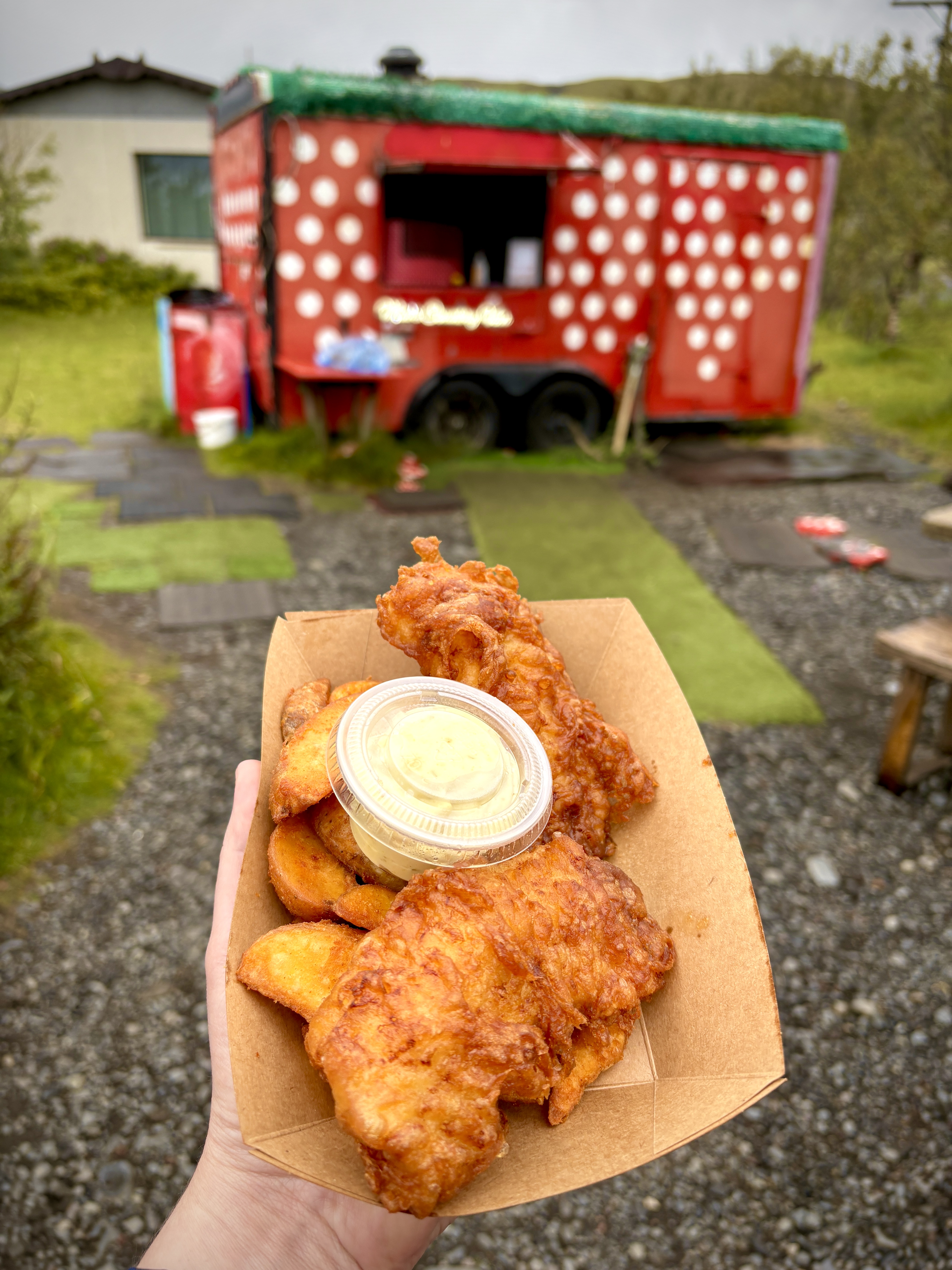 Why Mia’s Country Van Serves the Best Fish and Chips in Iceland