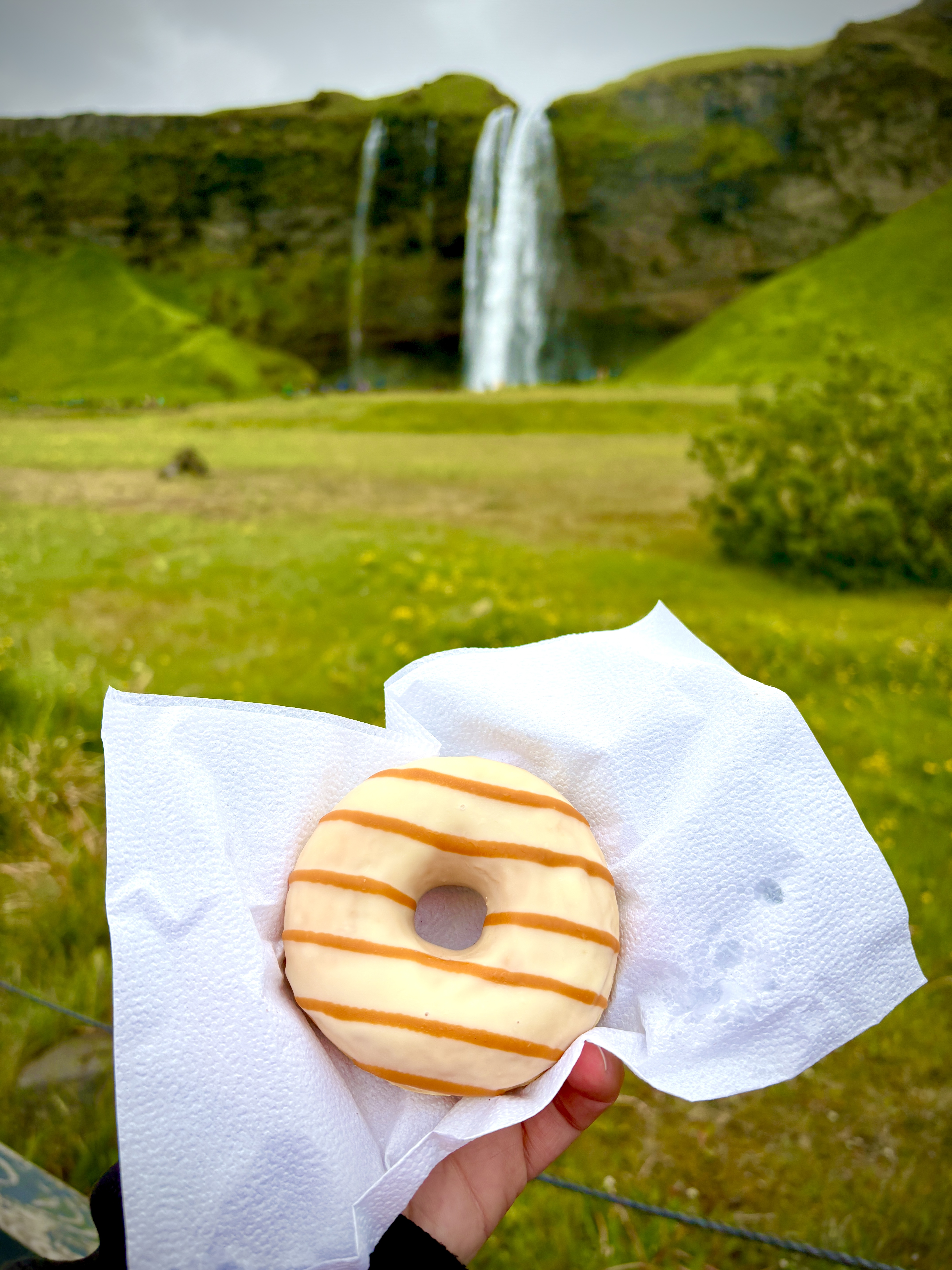 The Donuts at Seljalandsfoss Are as Iconic as the Waterfall