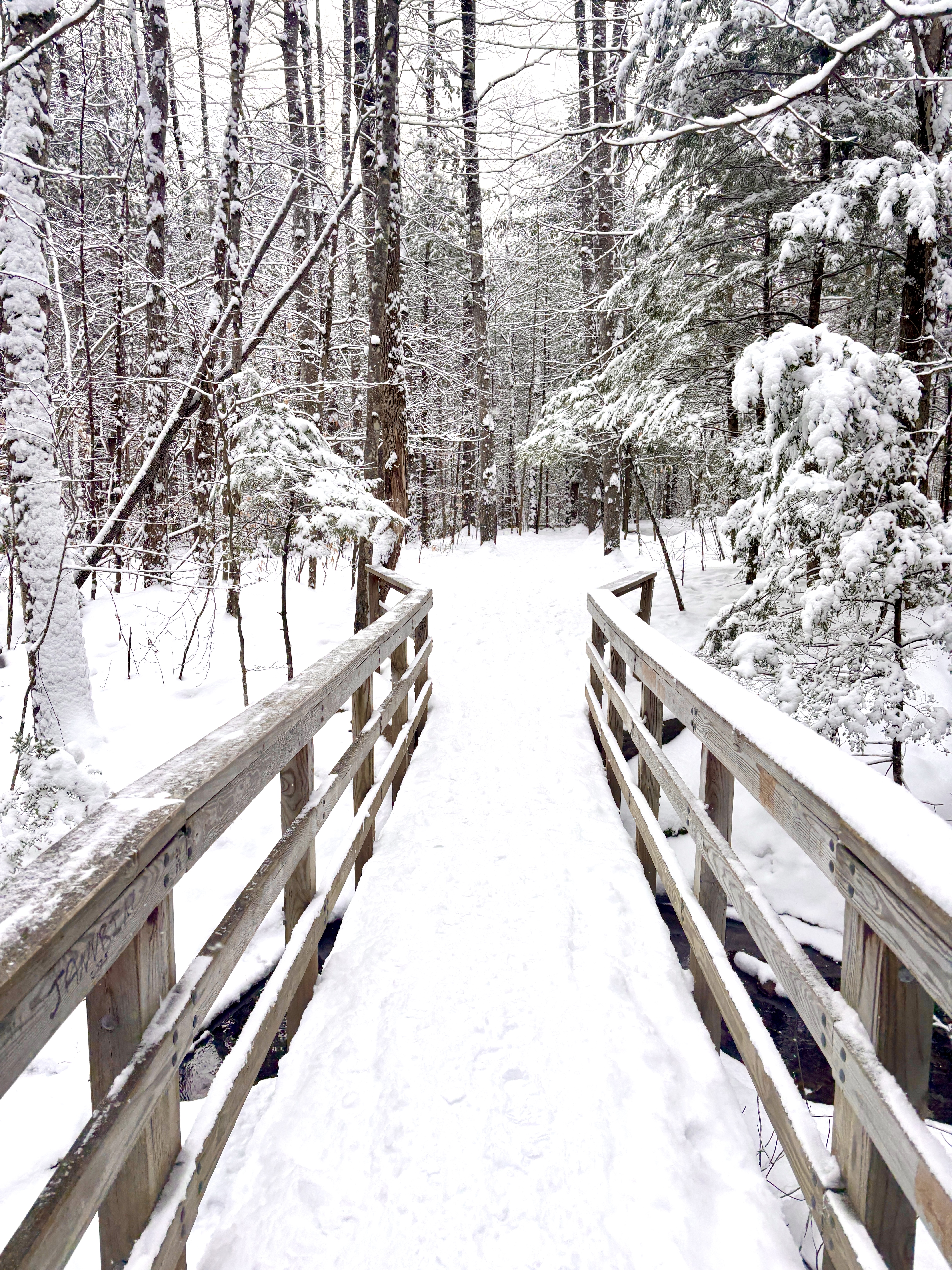12 Fun Things to Do in New Hampshire This Winter